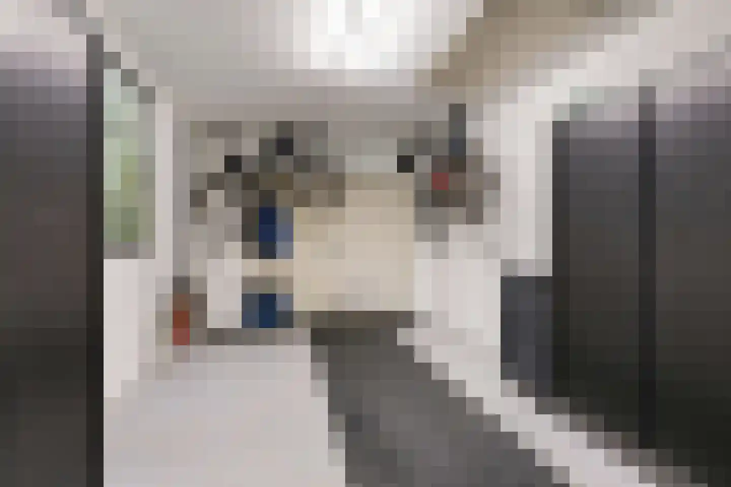Looistraat 11 Heumen thumbnail 13
