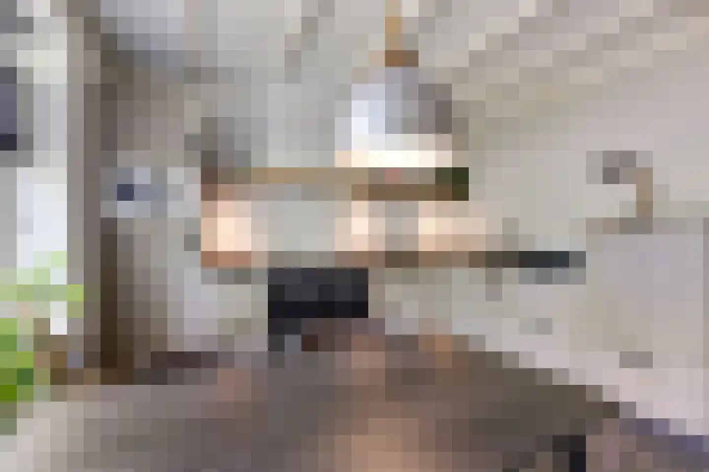 Looistraat 11 Heumen thumbnail 19