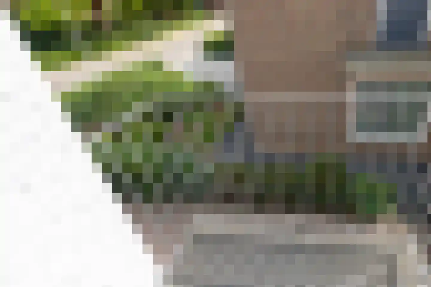 Looistraat 11 Heumen thumbnail 41