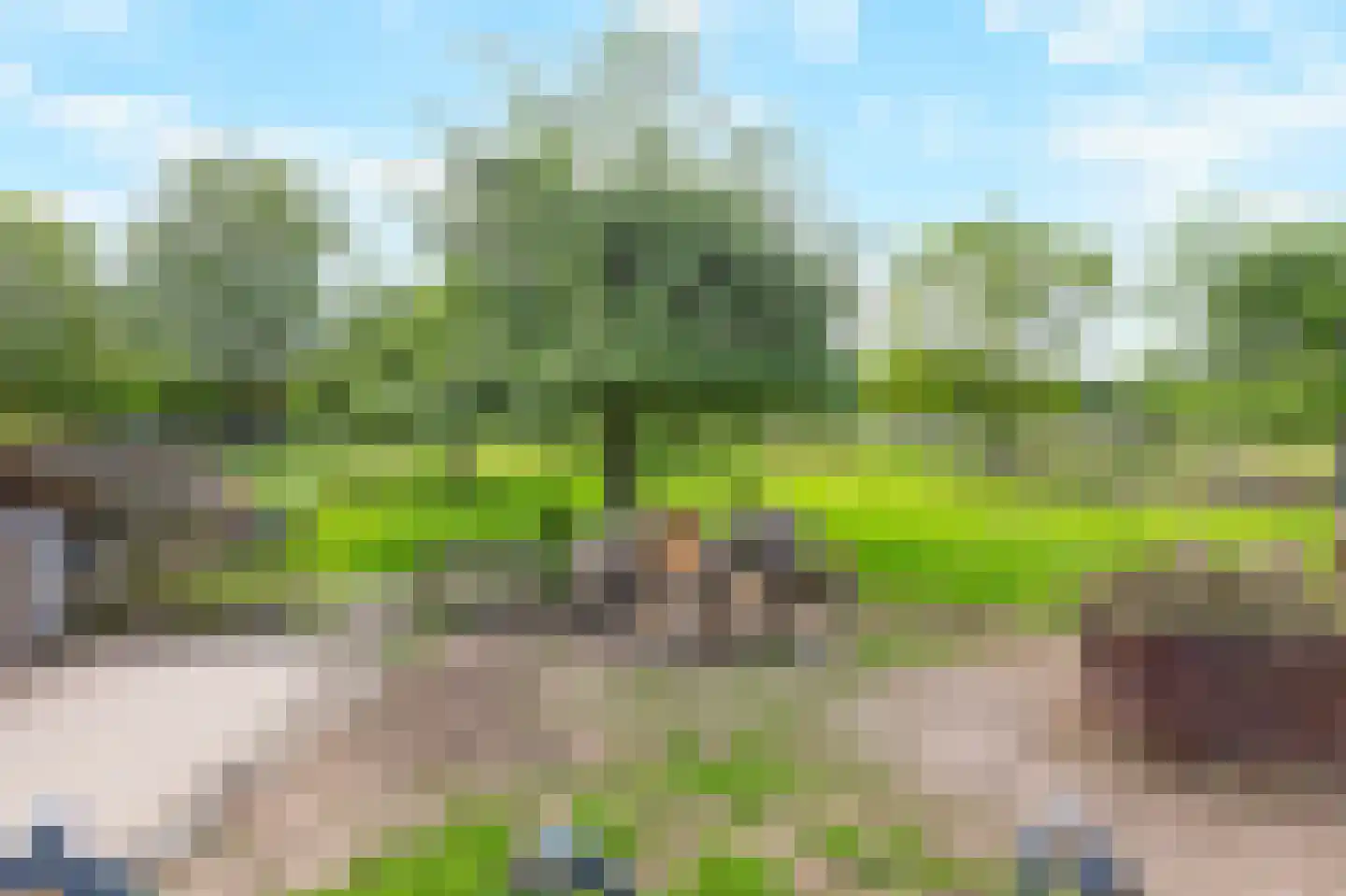 Looistraat 11 Heumen thumbnail 51