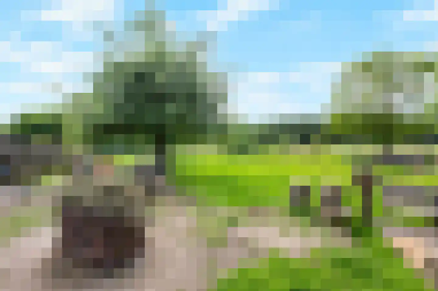 Looistraat 11 Heumen thumbnail 53