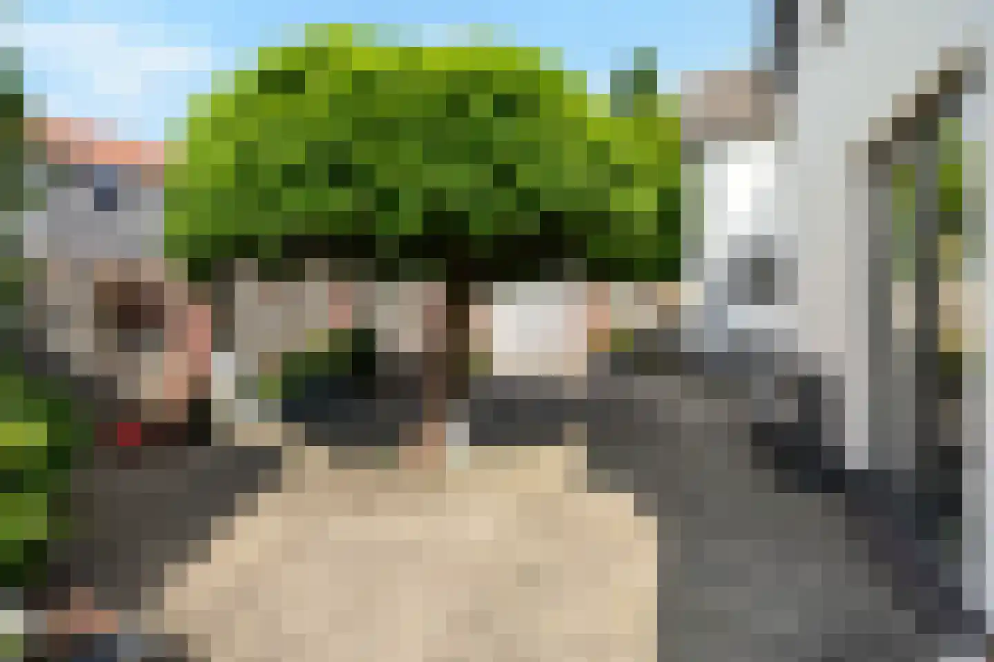 Looistraat 11 Heumen thumbnail 62