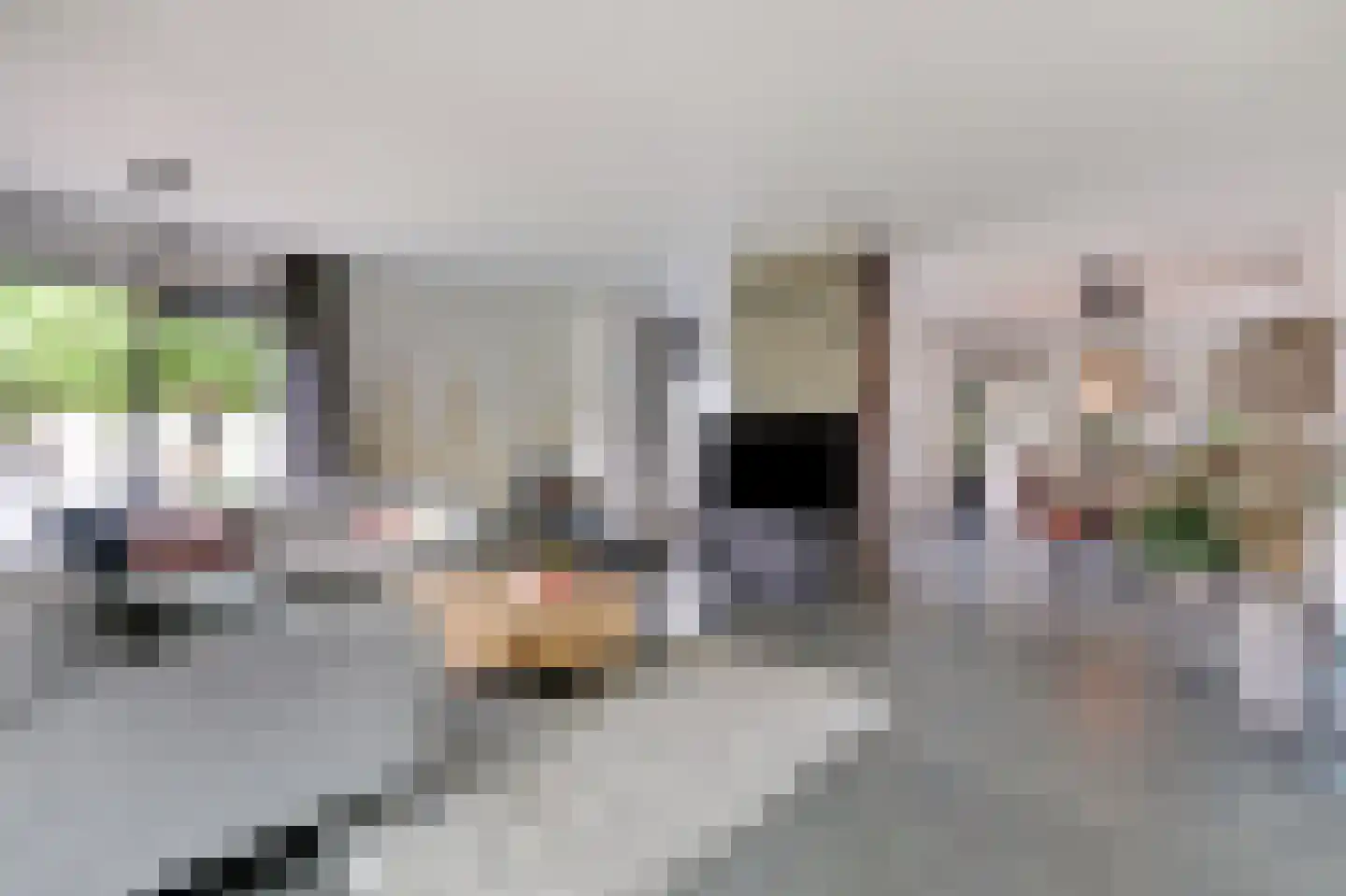Looistraat 11 Heumen thumbnail 7