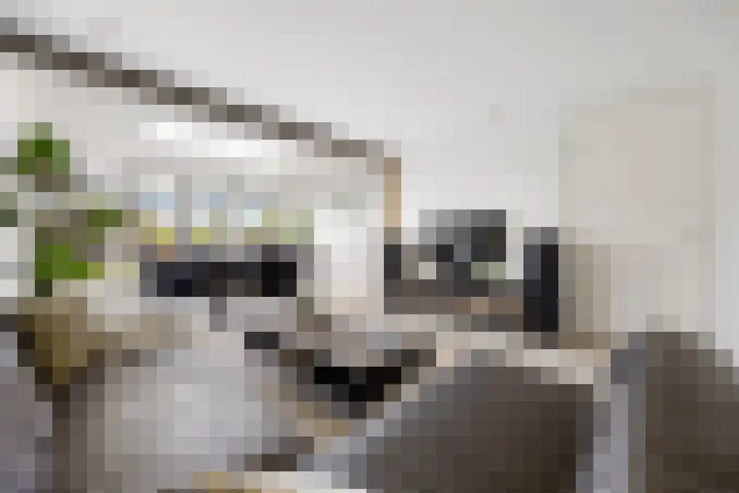 Looistraat 23 Heumen thumbnail 11