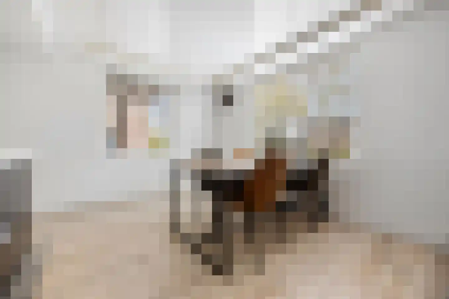 Looistraat 23 Heumen thumbnail 22