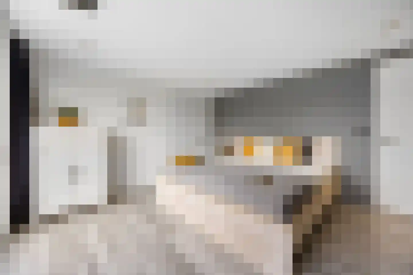 Looistraat 23 Heumen thumbnail 32