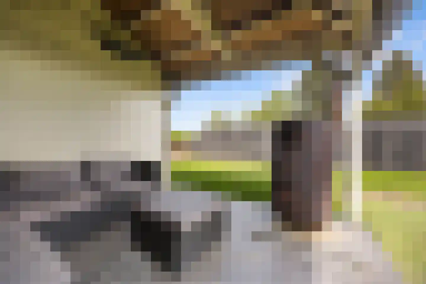 Looistraat 23 Heumen thumbnail 51