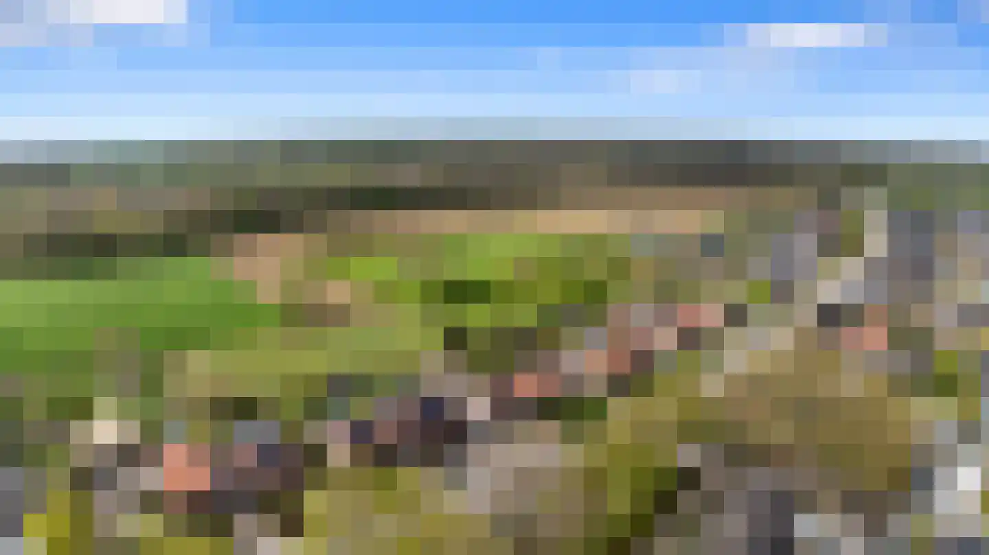 Looistraat 23 Heumen thumbnail 62