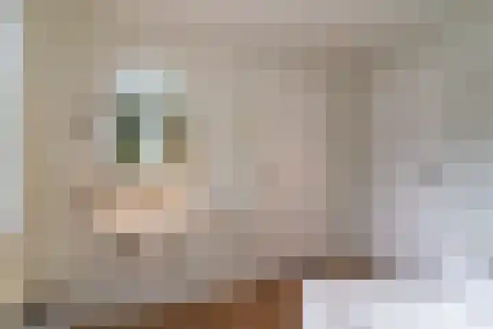 Looiwinkelstraat 30 Spaubeek thumbnail 23