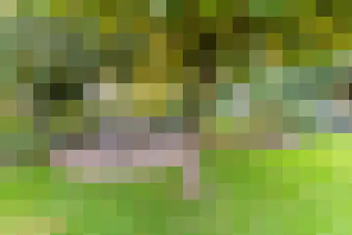 Looiwinkelstraat 30 Spaubeek thumbnail 37