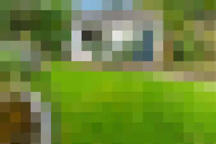 Looiwinkelstraat 30 Spaubeek thumbnail 42