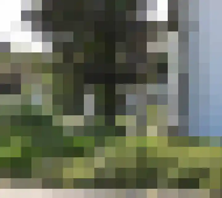 Looiwinkelstraat 30 Spaubeek thumbnail 47