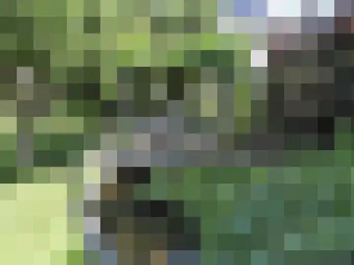 Looiwinkelstraat 30 Spaubeek thumbnail 48