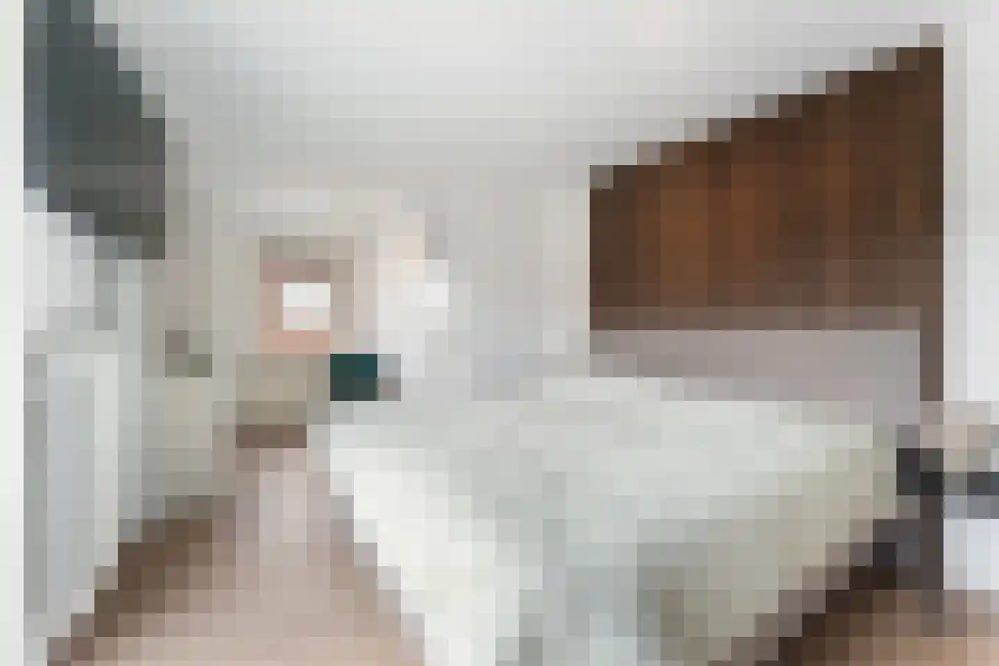 Looiwinkelstraat 45 a Spaubeek thumbnail 17