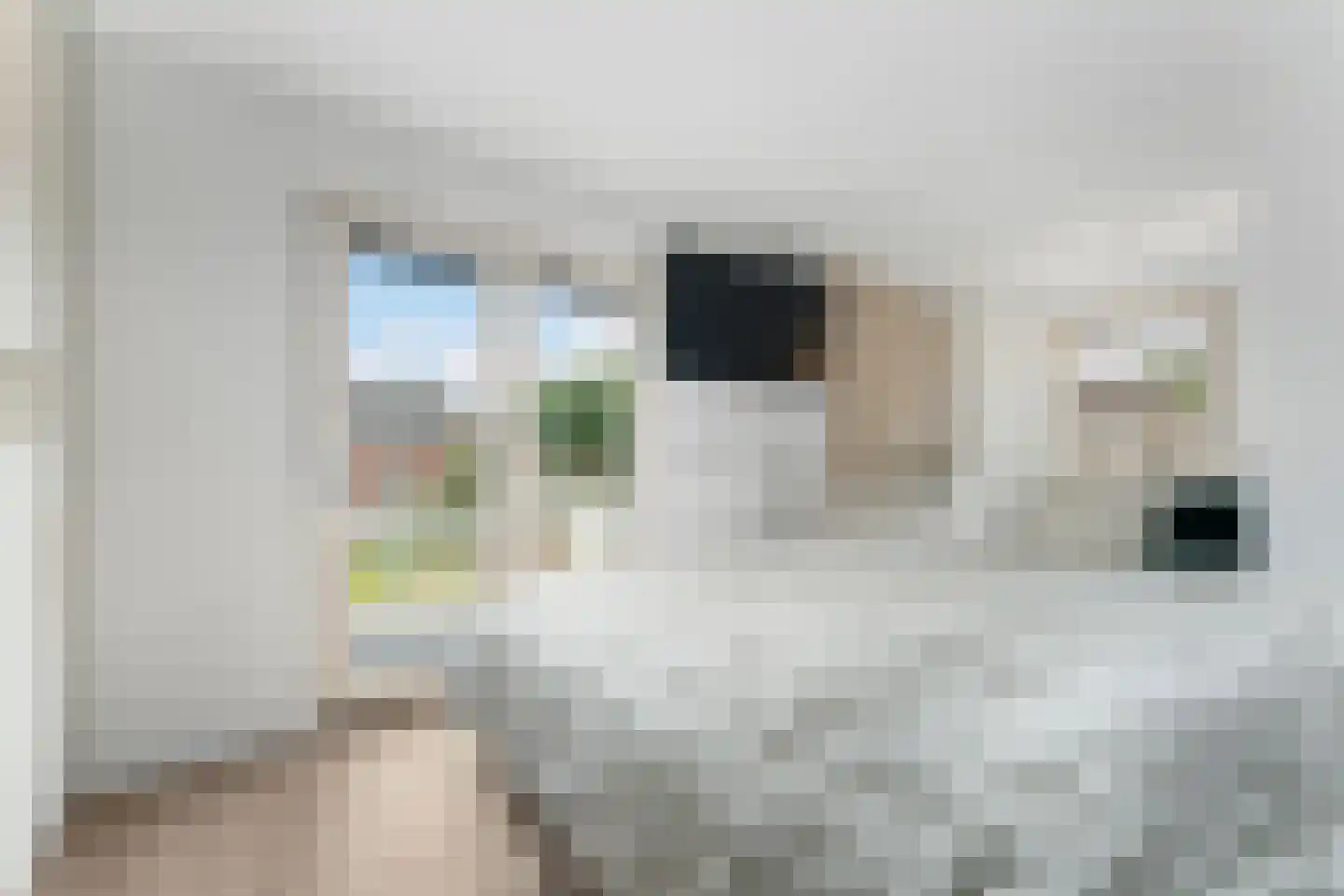 Looiwinkelstraat 45 a Spaubeek thumbnail 18