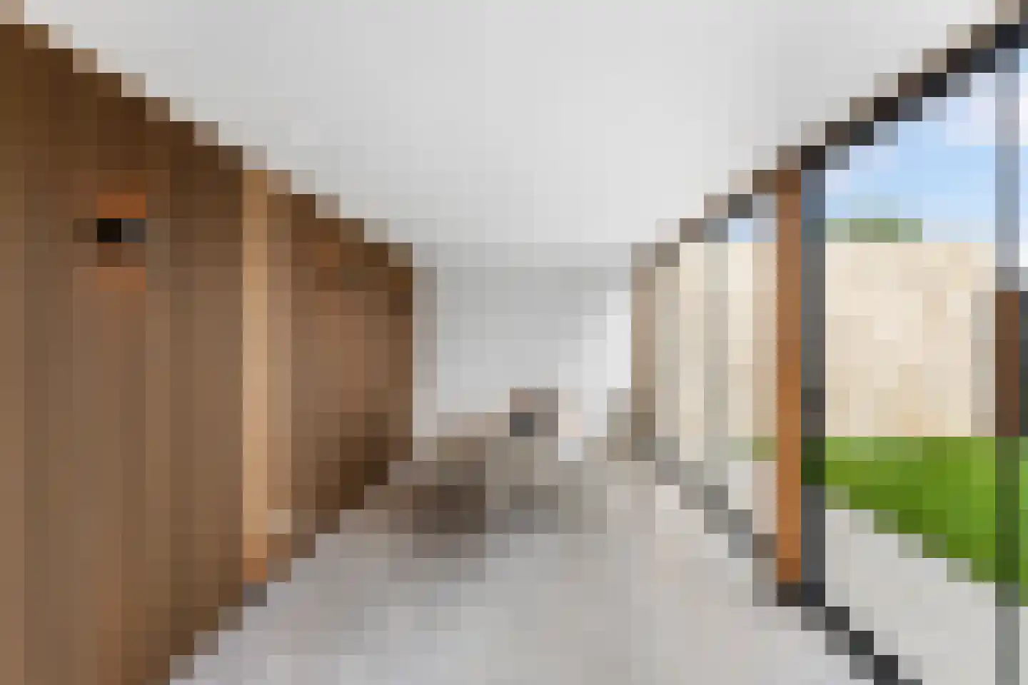 Looiwinkelstraat 45 a Spaubeek thumbnail 26