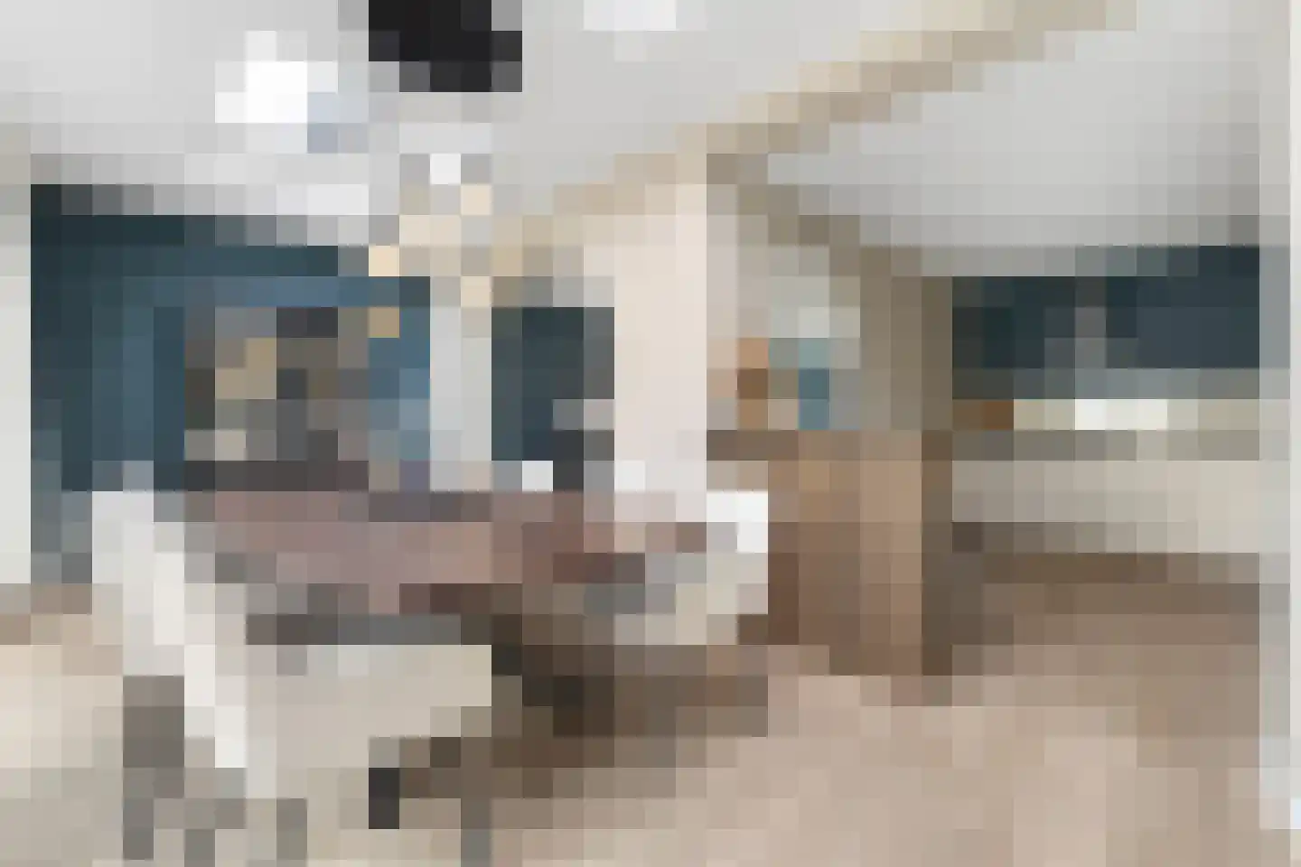 Looiwinkelstraat 45 a Spaubeek thumbnail 7
