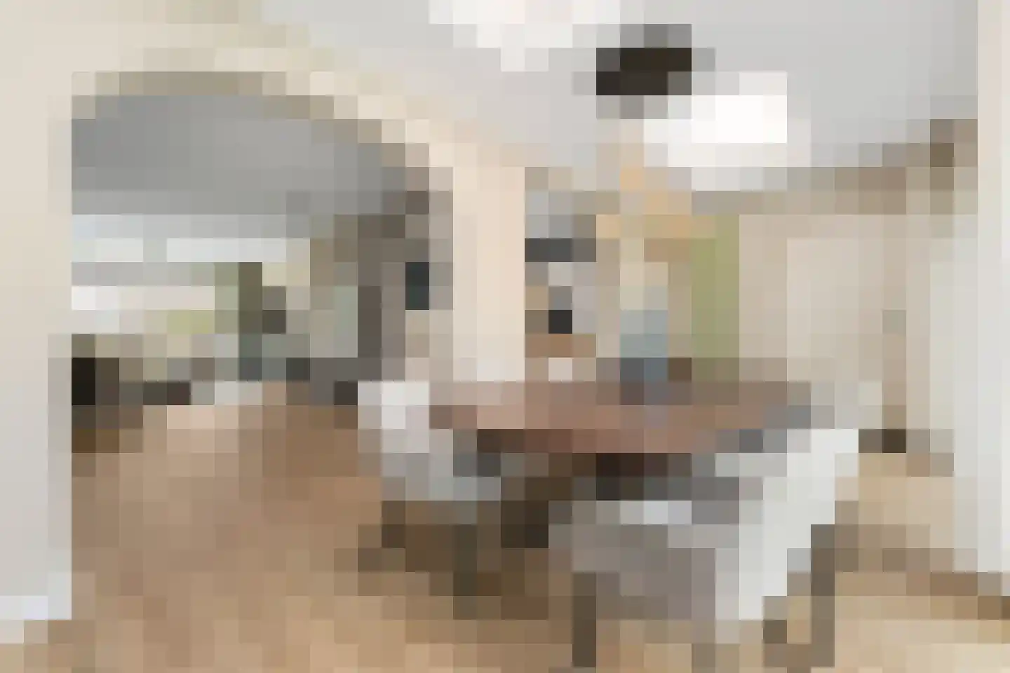 Looiwinkelstraat 45 a Spaubeek thumbnail 8