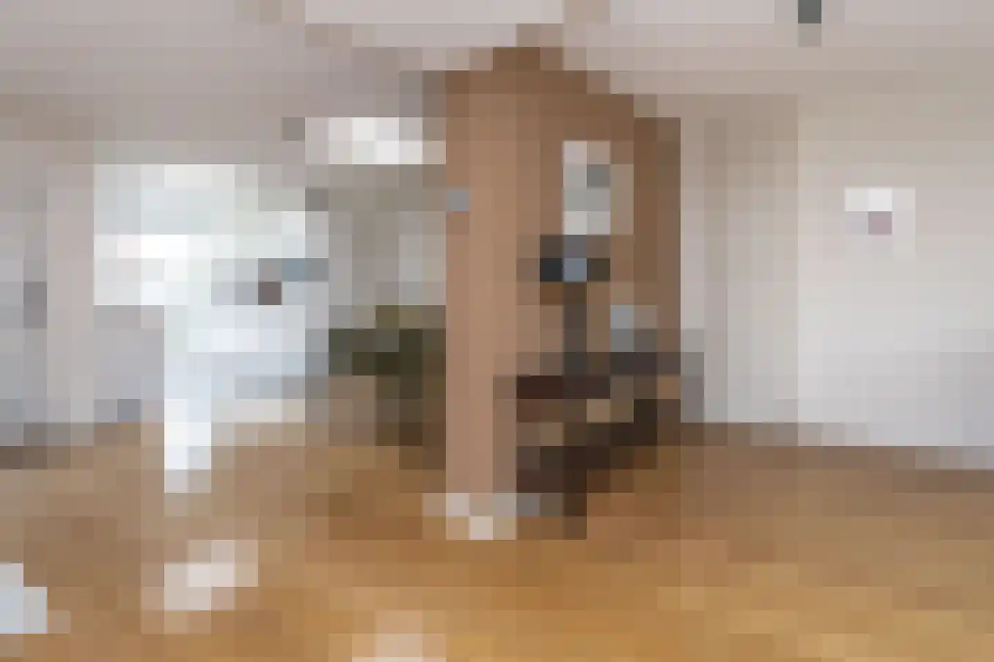 Looiwinkelstraat 63 Spaubeek thumbnail 9