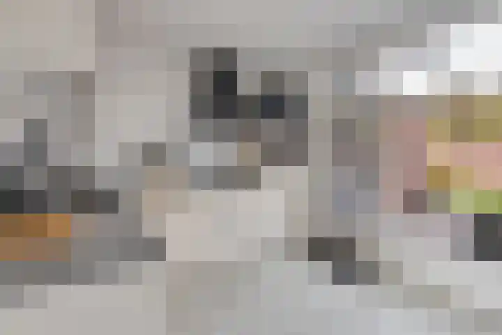 Looizicht 21 Ossendrecht thumbnail 14
