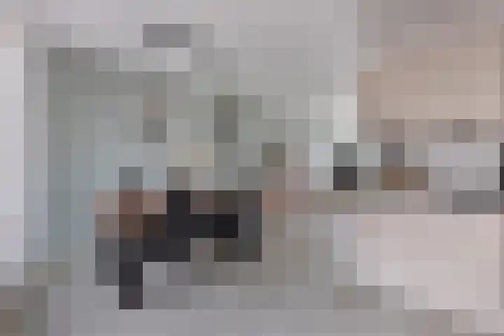 Looizicht 21 Ossendrecht thumbnail 18