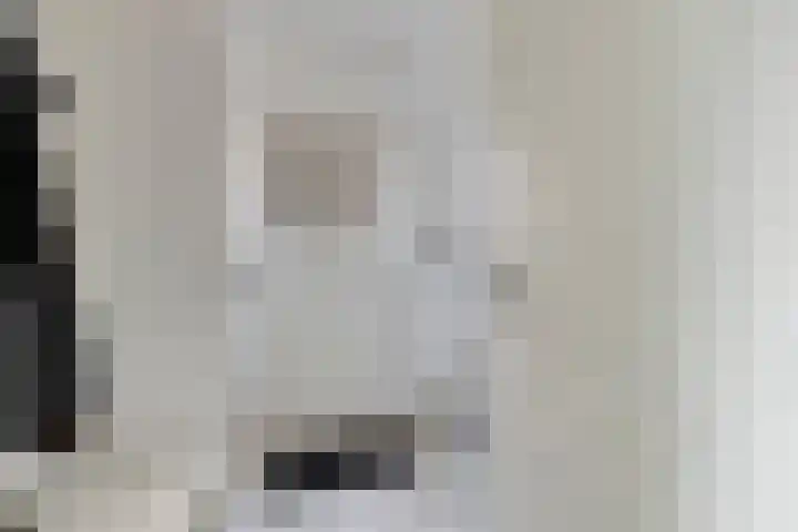 Looizicht 21 Ossendrecht thumbnail 19