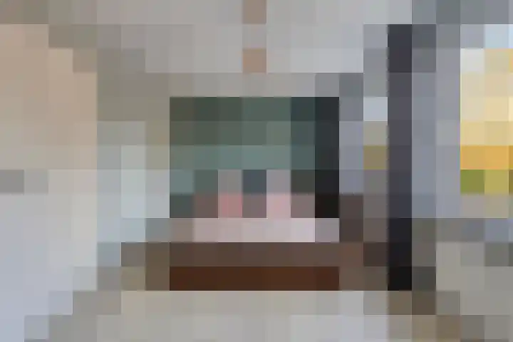 Looizicht 21 Ossendrecht thumbnail 23