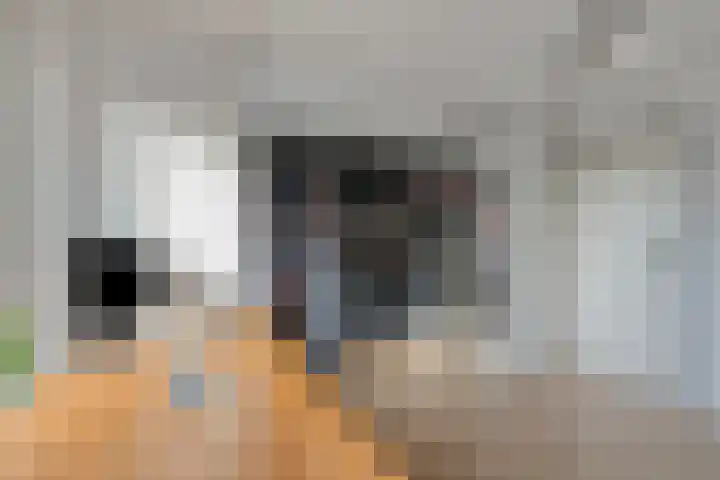 Looizicht 21 Ossendrecht thumbnail 28