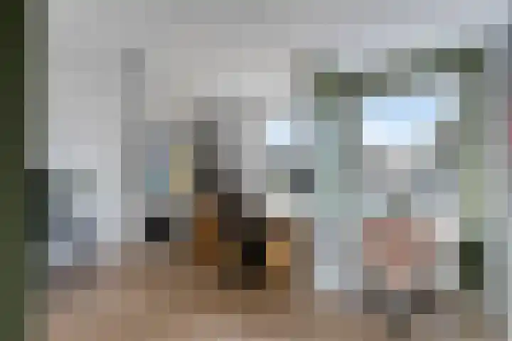Looizicht 21 Ossendrecht thumbnail 29