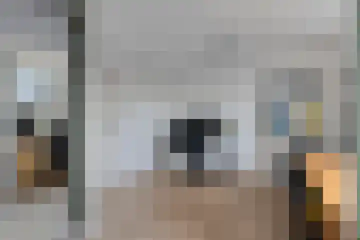 Looizicht 21 Ossendrecht thumbnail 30