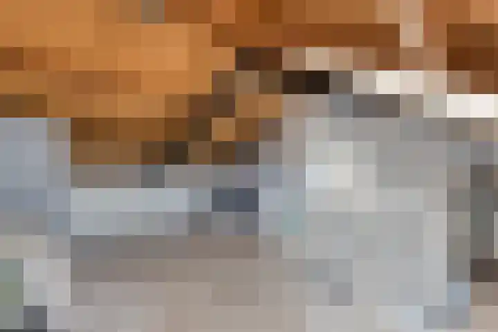Looizicht 21 Ossendrecht thumbnail 31