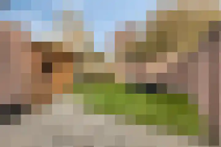 Looizicht 21 Ossendrecht thumbnail 37
