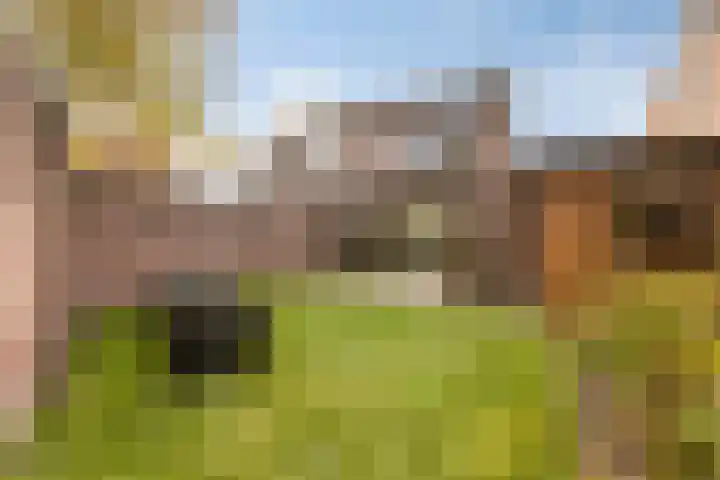 Looizicht 21 Ossendrecht thumbnail 39