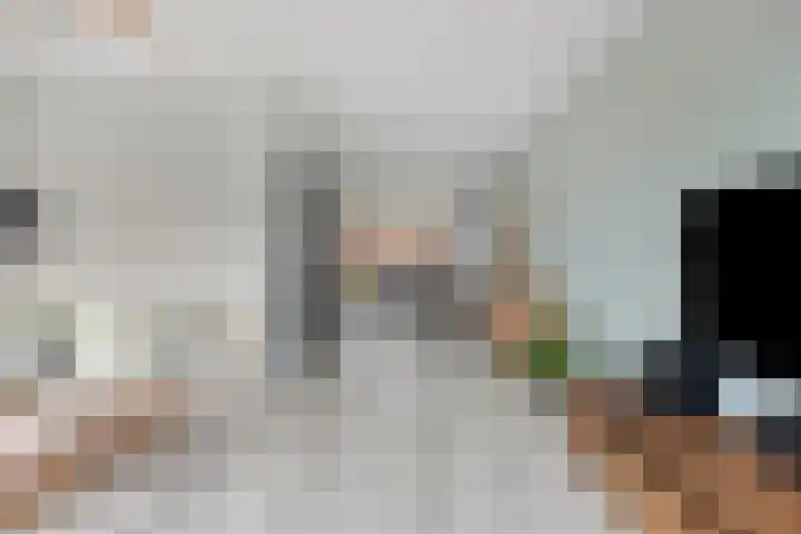 Looizicht 21 Ossendrecht thumbnail 5