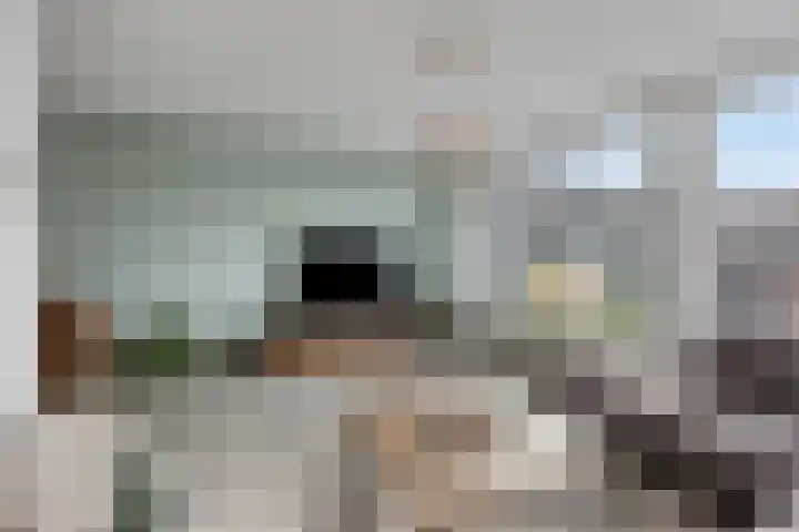 Looizicht 21 Ossendrecht thumbnail 6