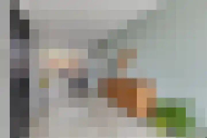 Looizicht 21 Ossendrecht thumbnail 7