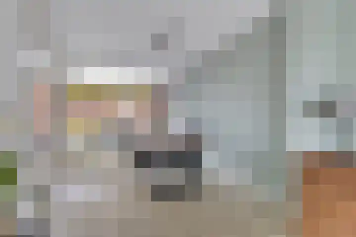 Looizicht 21 Ossendrecht thumbnail 8