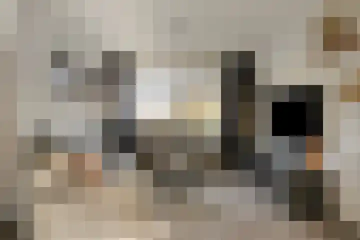 Look 10 Geldrop thumbnail 10