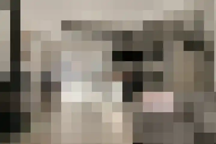 Look 10 Geldrop thumbnail 11