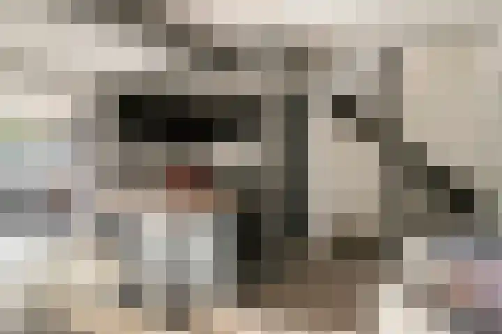 Look 10 Geldrop thumbnail 12