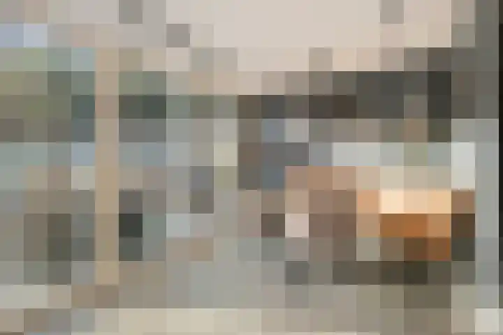 Look 10 Geldrop thumbnail 17