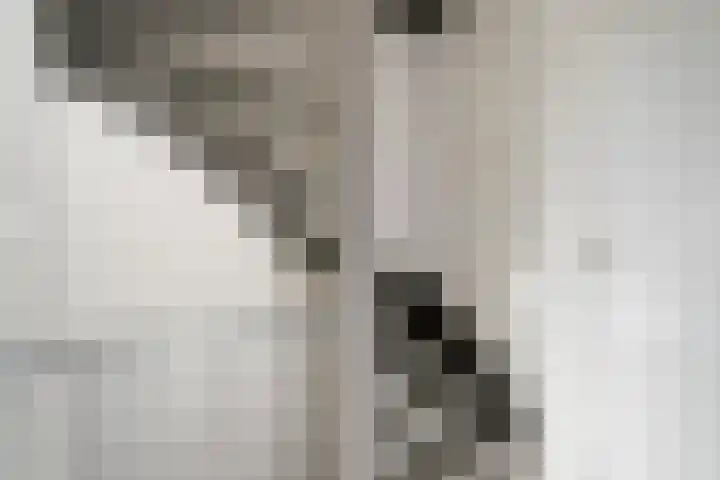 Look 10 Geldrop thumbnail 19