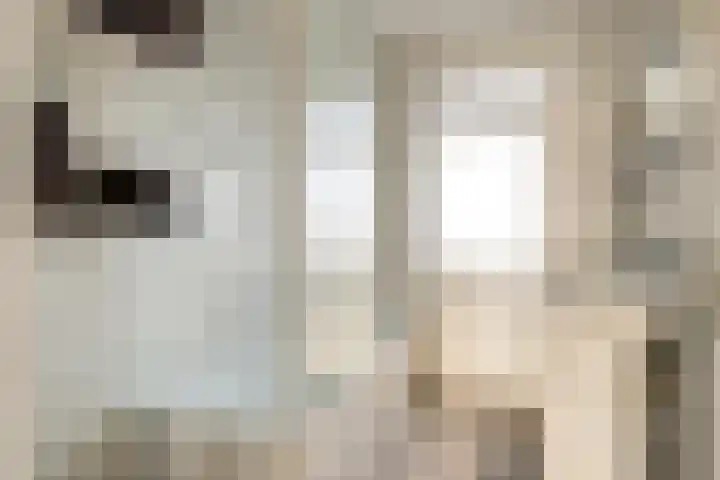 Look 10 Geldrop thumbnail 25