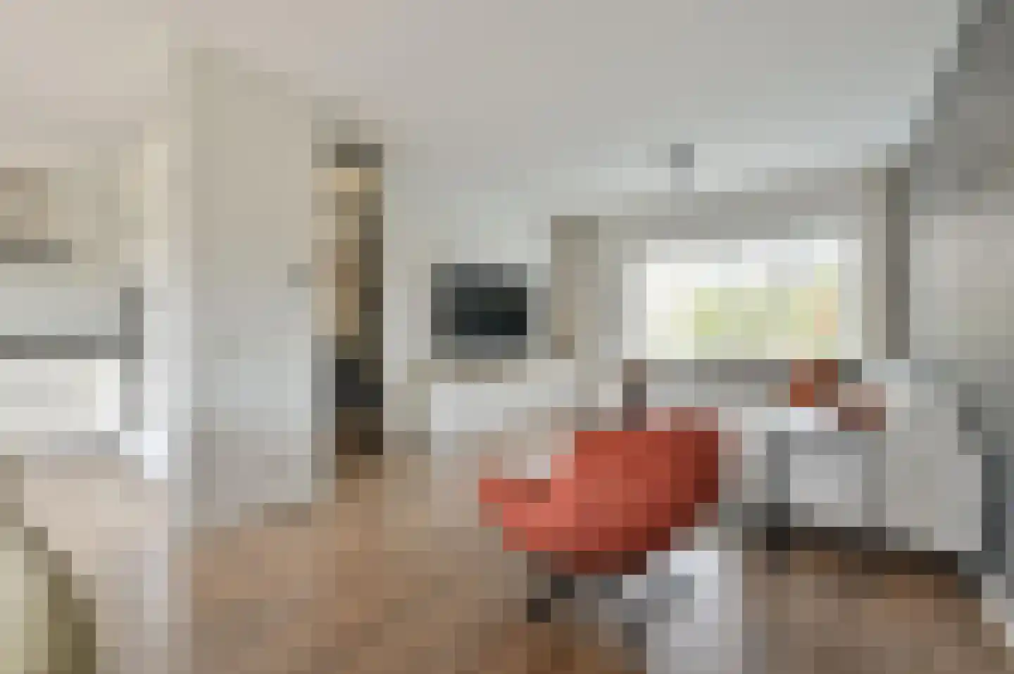 Look 20 Huizen thumbnail 10