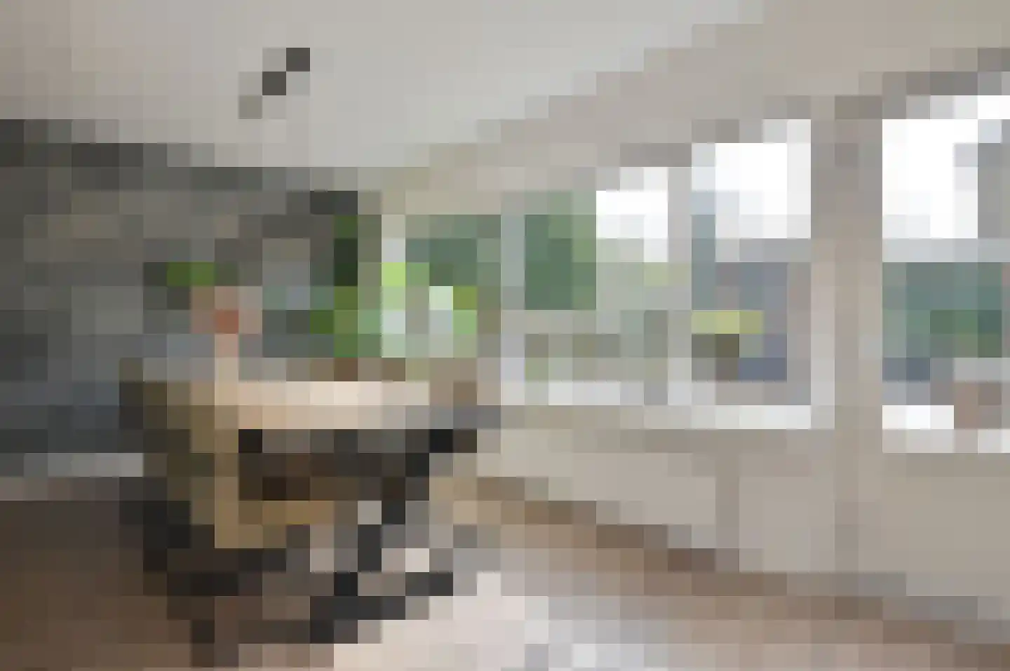 Look 20 Huizen thumbnail 13
