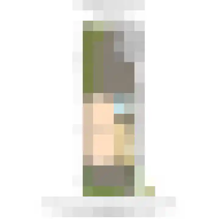 Looksingel 39 Den Hoorn thumbnail 43