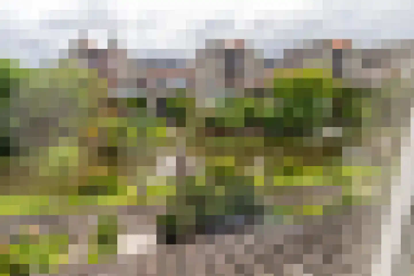 Lookwatering 11 Den Hoorn thumbnail 22