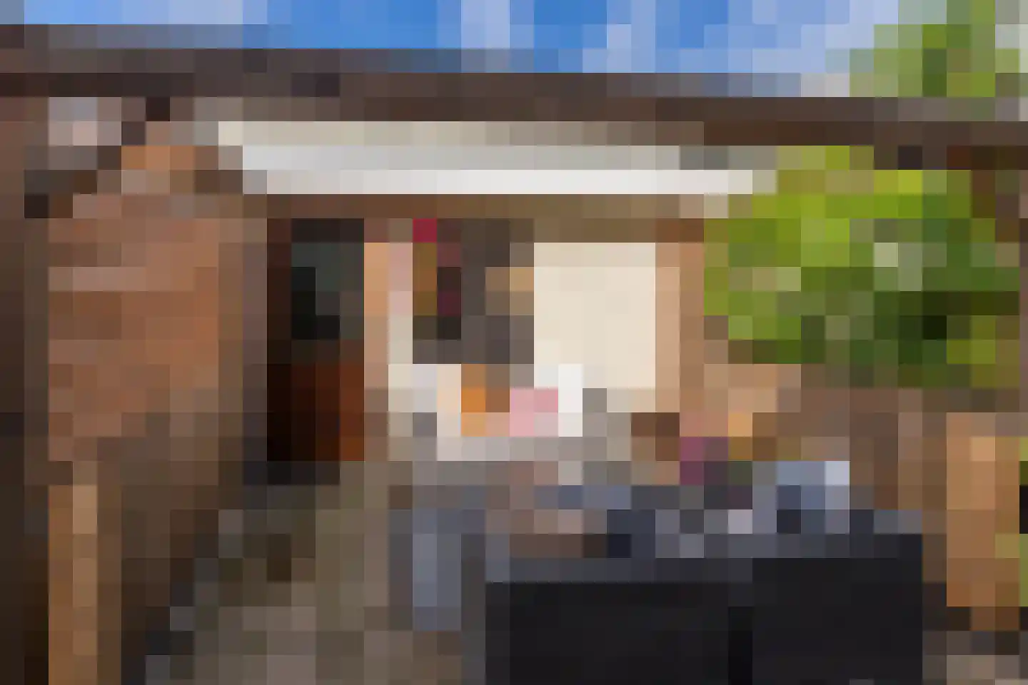 Lookwatering 11 Den Hoorn thumbnail 4