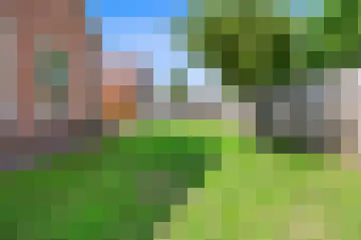 Lookwatering 4 Den Hoorn thumbnail 19