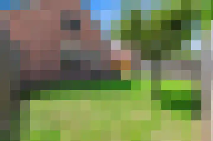 Lookwatering 4 Den Hoorn thumbnail 21
